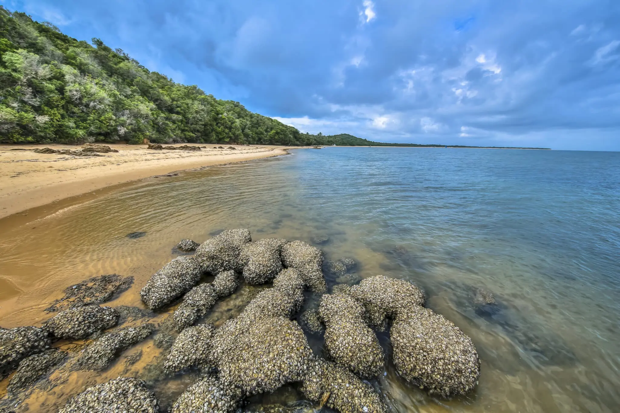 zoom sur l'eau translucide de l'ile d'inhaca