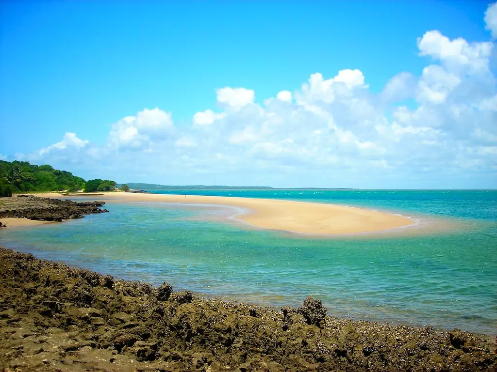 la beauté sauvage d'inhaca à marée basse