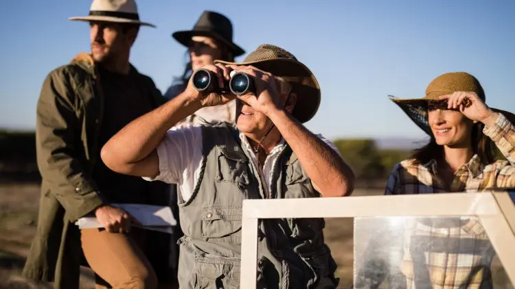 Safari en 4x4 ouvert un homme observe avec ses jumelles