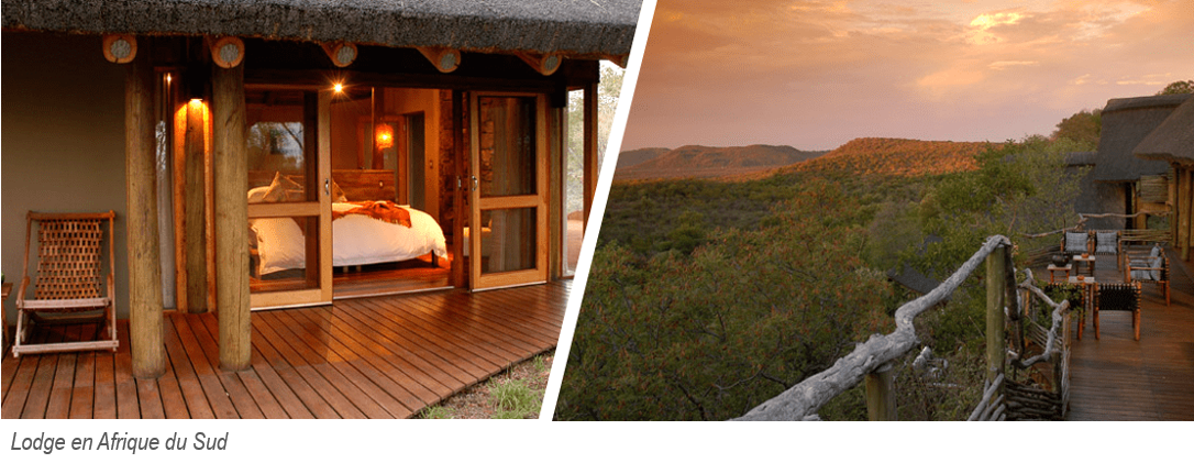 un lodge en afrique du sud : chambre et vue du deck sur la brousse