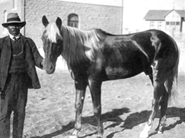 Photo en noir et blanc avec Zacharias Lewala debout à côté d'un cheval