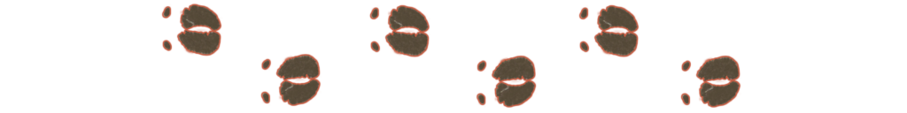 Safari en Afrique australe, empreintes successives du buffle