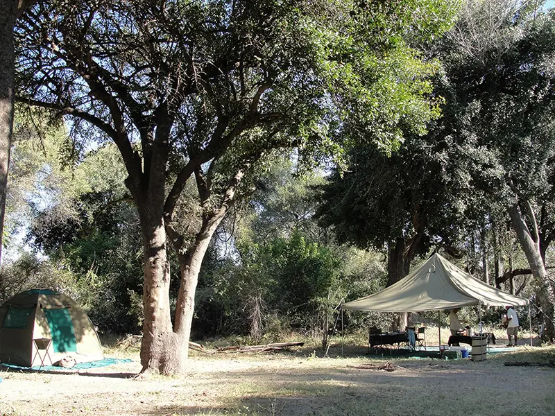 Un logement en camp itinerant avec ses tentes installées au coeur de la brousse