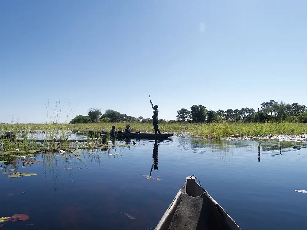 Dans les eaux du delta de l'Okavango en mokoro, la barque locale