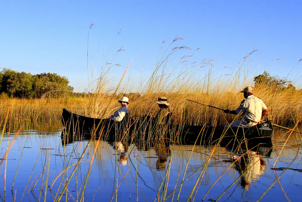 En mokoro un guide et deux voyageurs naviguent sur les eaux entre papyrus et roseaux