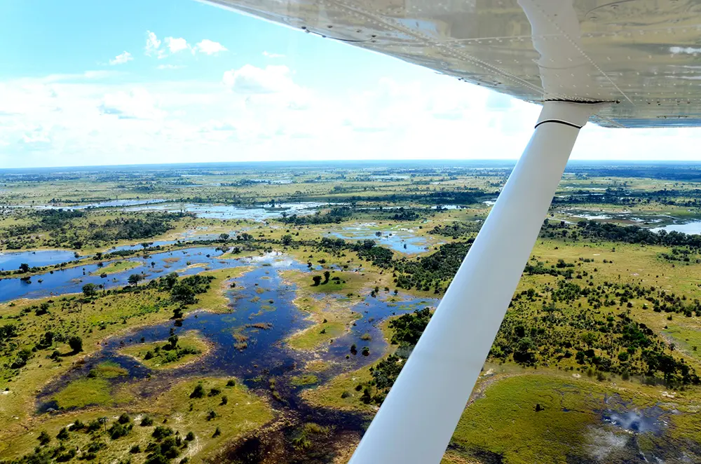 Safari dans les airs depuis une avionnerie avec vue sur le delta de l'Okavango