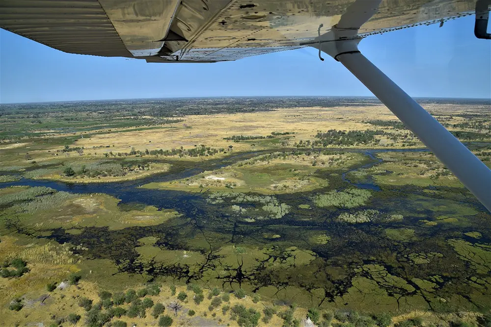 Vue sur les paysages du delta de l'Okavango depuis un vol en avionnnette