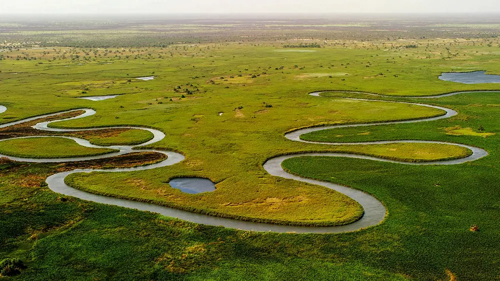 Paysage du delta de l'Okavango avec ses canaux vue depuis les airs