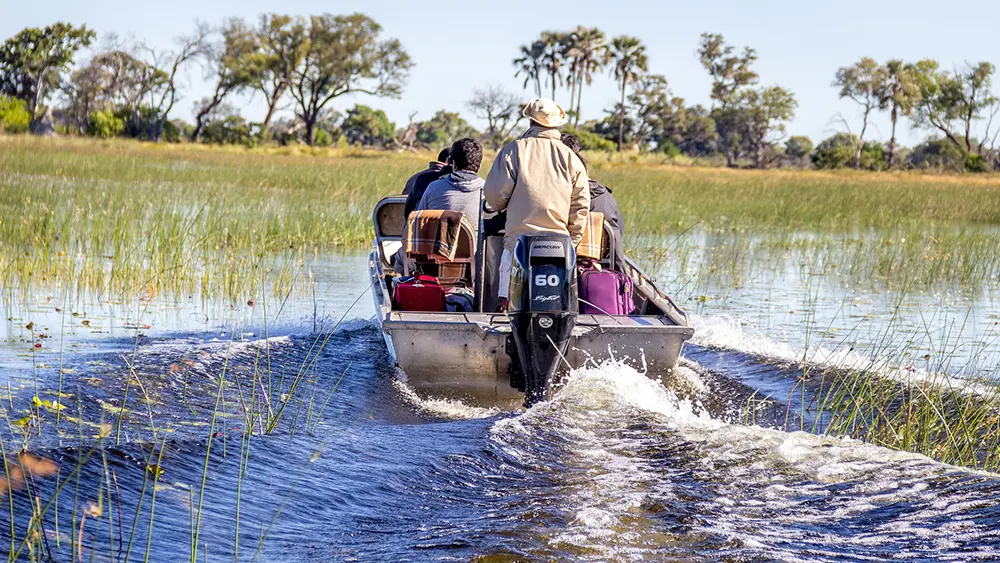 Des touristes partent en safari en bateau à moteur sur les eaux du fleuve