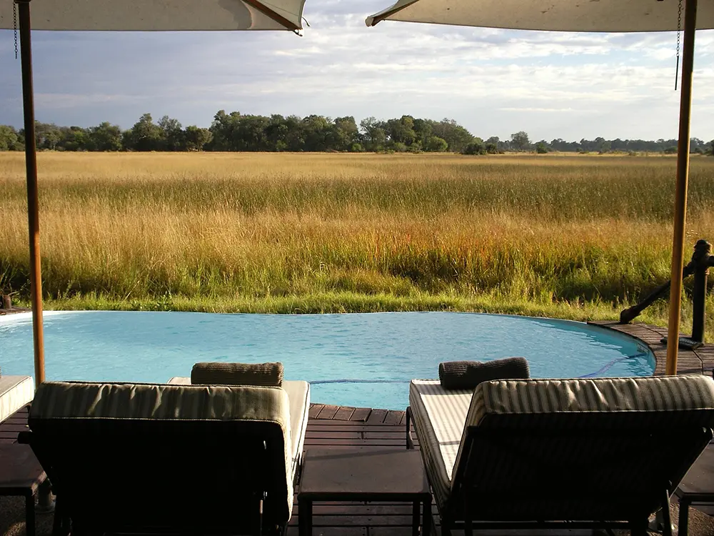 Espace piscine et transats d'un lodge au coeur de la nature de l'Okavango