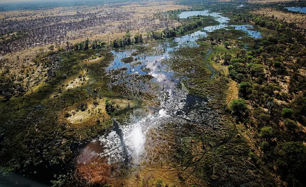 Les terres gorgées d'eau de l'Okavango vue du ciel