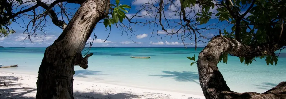 A travers 2 branches, vue sur le sable blanc et les eaux turquoises
