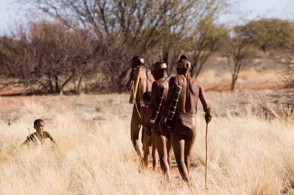 Des Sans nomades marchent dans la savane herbeuse du Kalahari
