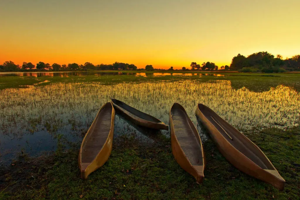 Quatre mokoros sur les rives de l'okavango au coucher du soleil