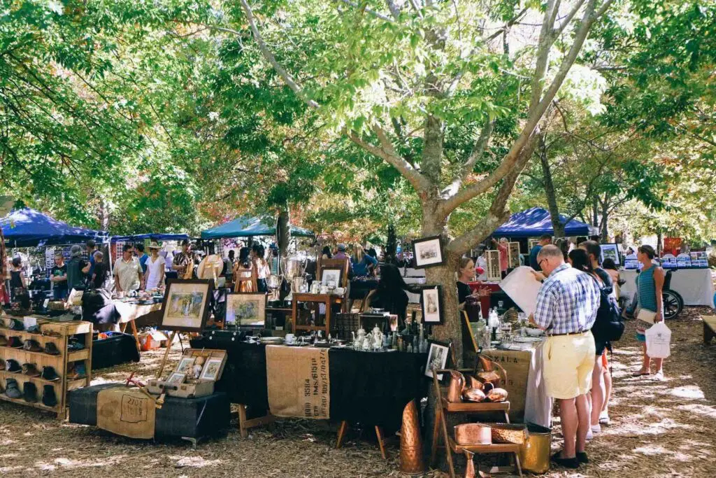 Vue sur les allées arborées du marché de Franschhoek