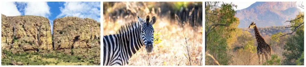 3 photos en ligne avec un paysage rocheux, un zèbre et une girafe