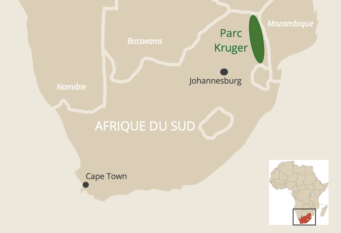 Carte repère indiquant où se trouve le parc Kruger en Afrique du Sud