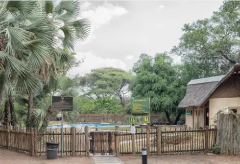 Vue sur la piscine arborée et protégée de Letaba rest camp