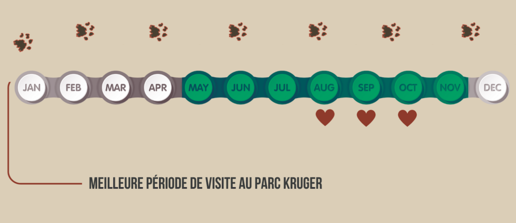 Les mois de l'année avec en vert la meilleure période pour le kruger