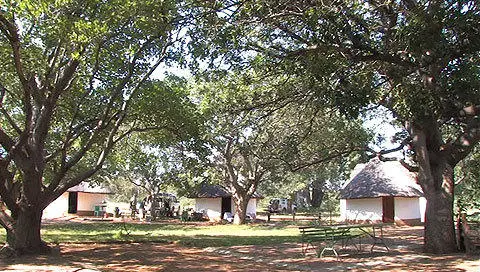 Trois chalets en Rondin du camp satellite de Balule au parc Kruger