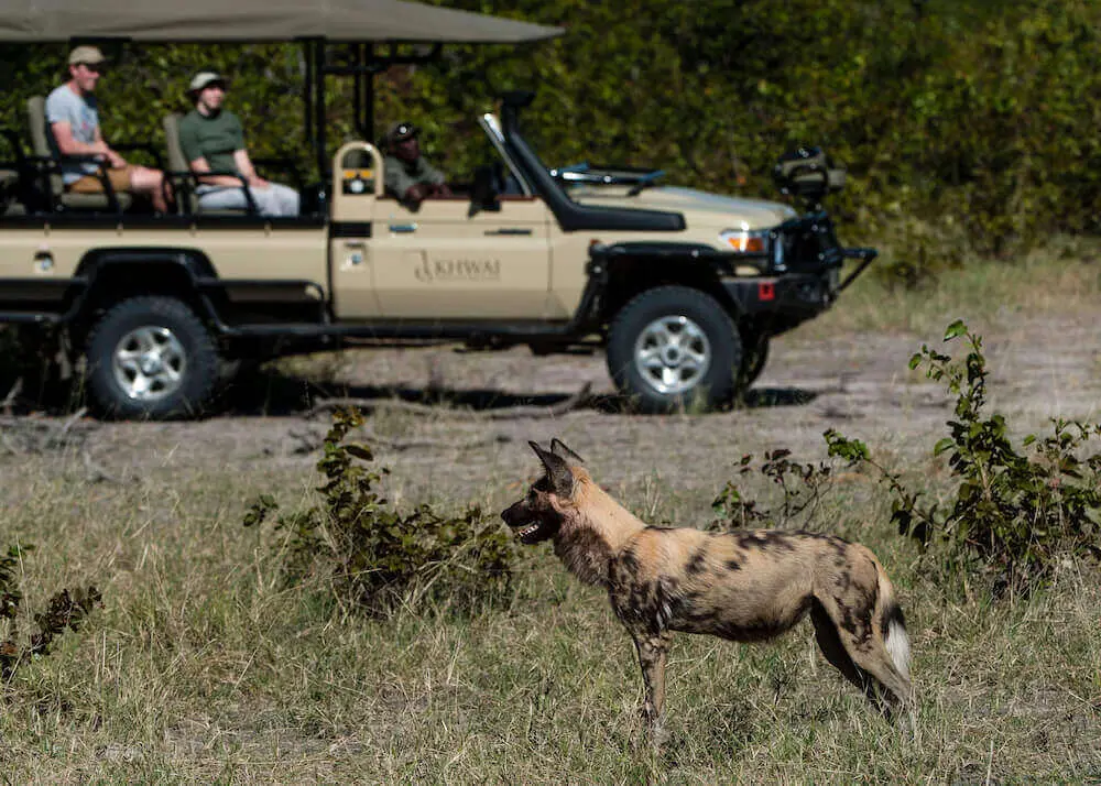 Détail des commodités du lodge duke's camp au botswana 