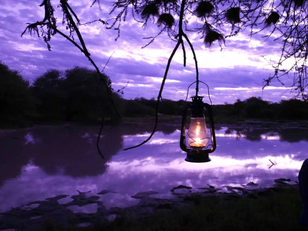 Une lampe à pétrole suspendue à un arbre avec un ciel violet en fond