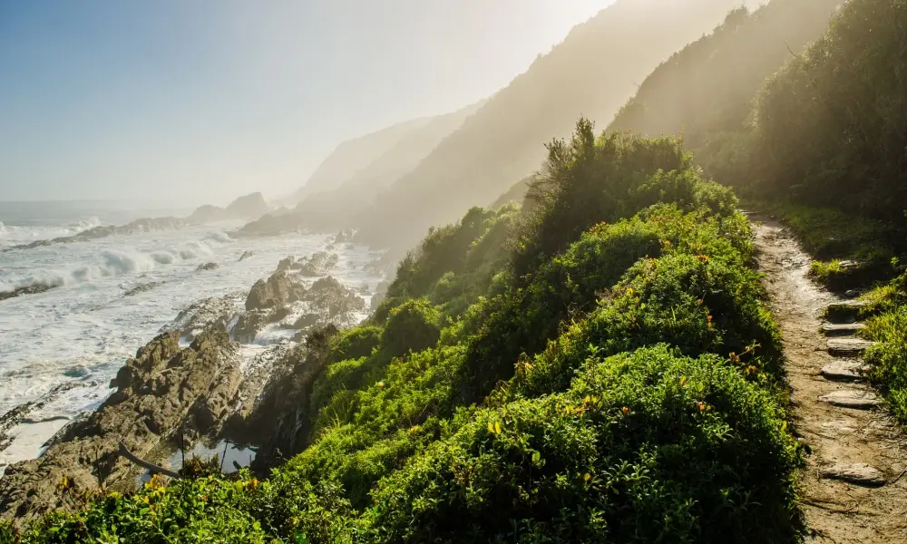 montagnes, falaises abruptes et océan indien sur la route des jardins
