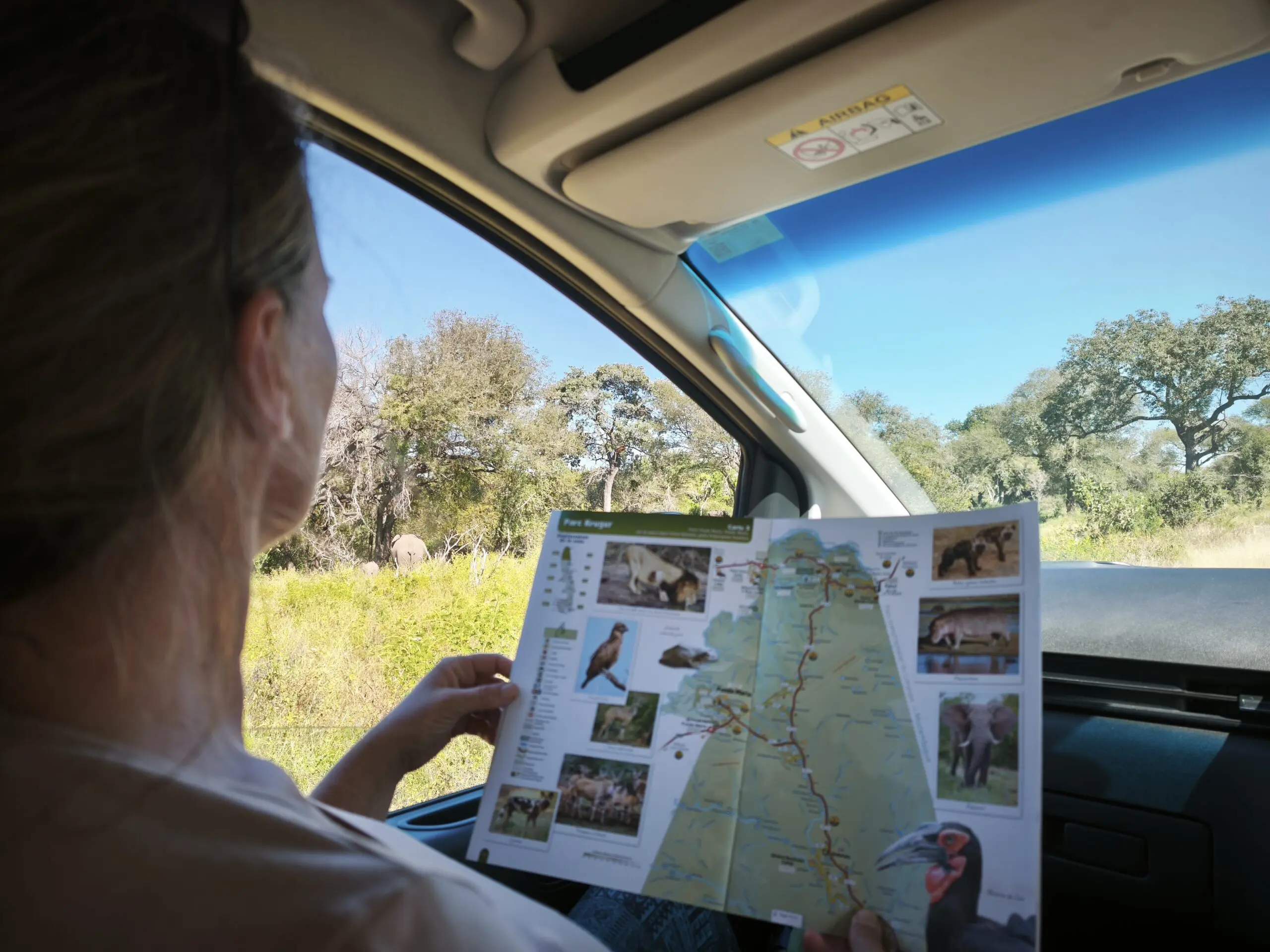nos-services-disponibilite-expertise-terrain-roxane-selfdrive-ekima-afrika-travel