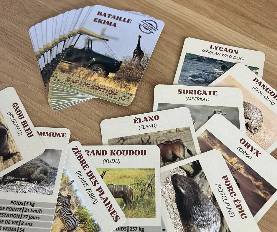 service-ekima-jeux-de-carte-safari-ekima-afrika-travel-agence-voyage-locale