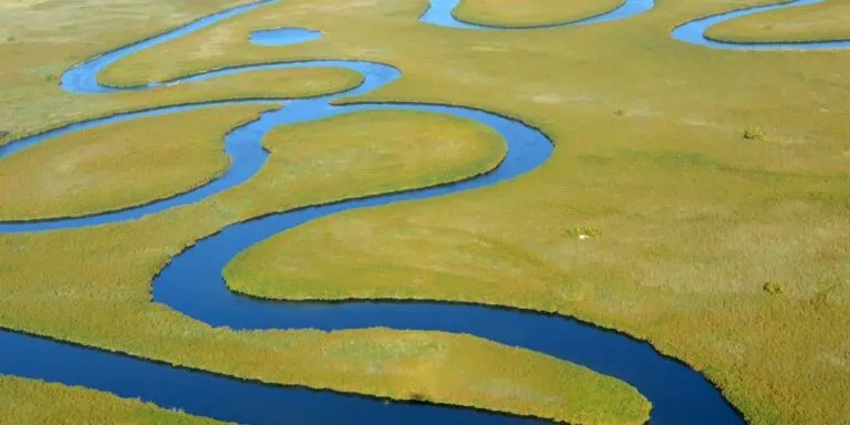 Canaux serpentant dans le delta de l'Okavango