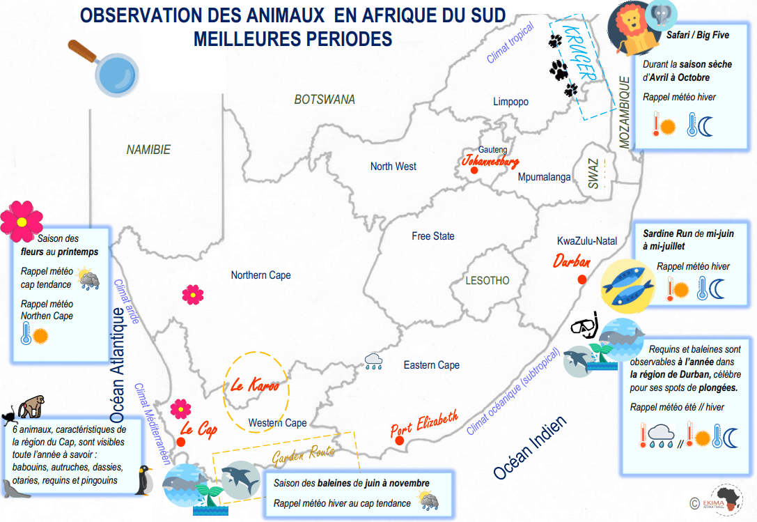 quand-partir-en-afrique-du-sud-pour-voir-animaux-faune-et-flore-carte-ekima carte d’Afrique du sud avec les animaux et leur période d’observation