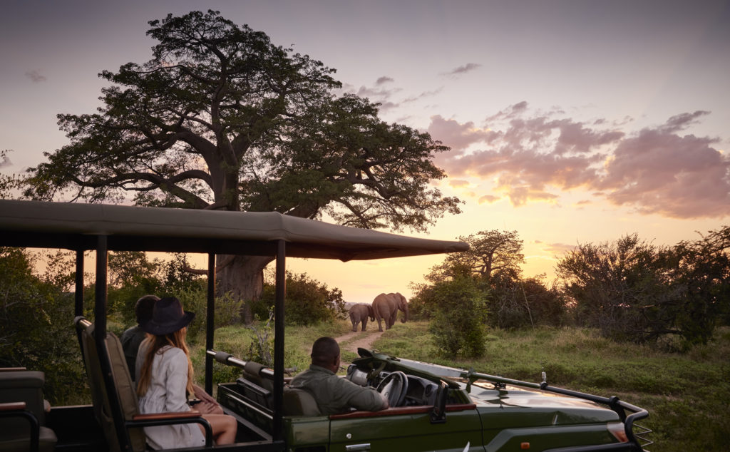 A bord d'un quatre-quatre, un couple en safari observe deux éléphants