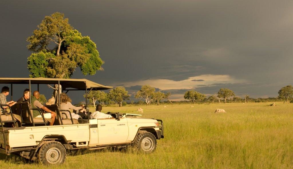 Un 4x4 avec touristes conduit par un ranger en safari