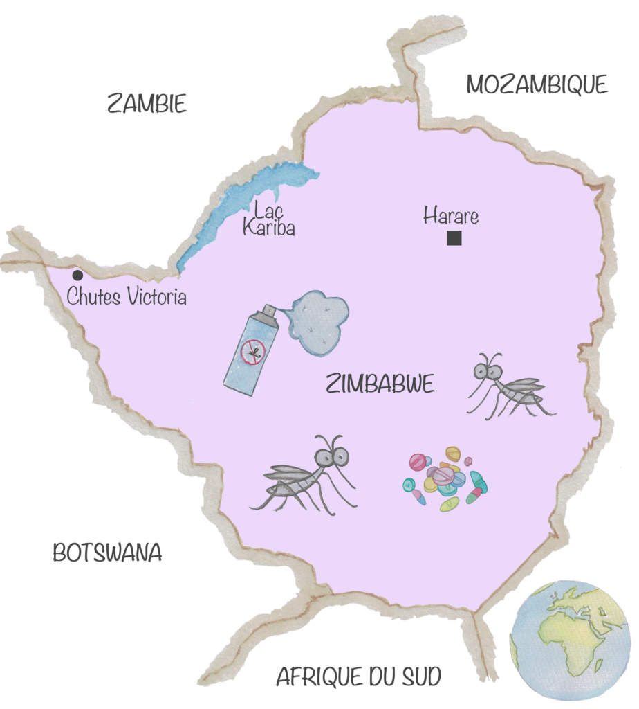 Carte du Zimbabwe avec surlignées en mauve les zones de palu