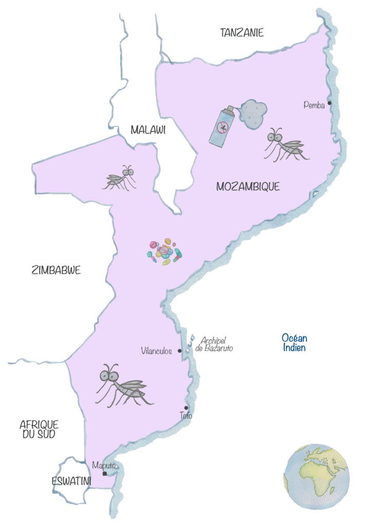 Carte du Mozambique avec surlignées en mauve les zones de palu