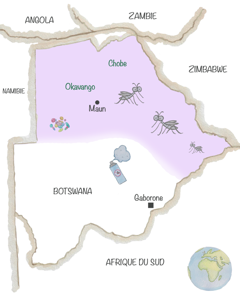 Carte du botswana avec surlignées en mauve les zones de paludisme