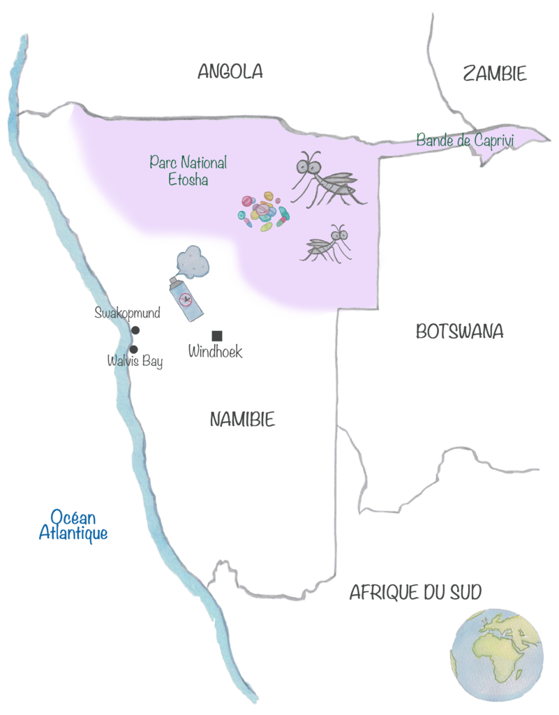 Carte de la Namibie avec surlignées en mauve les zones de paludisme