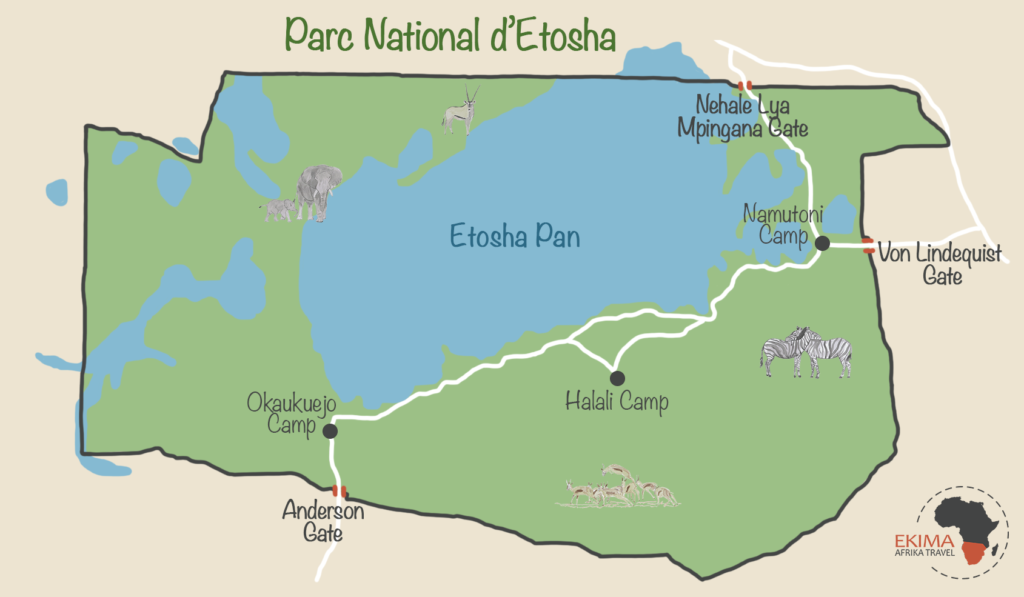 Carte du parc d'Etosha faisant figurer les portes d'accès et les camps