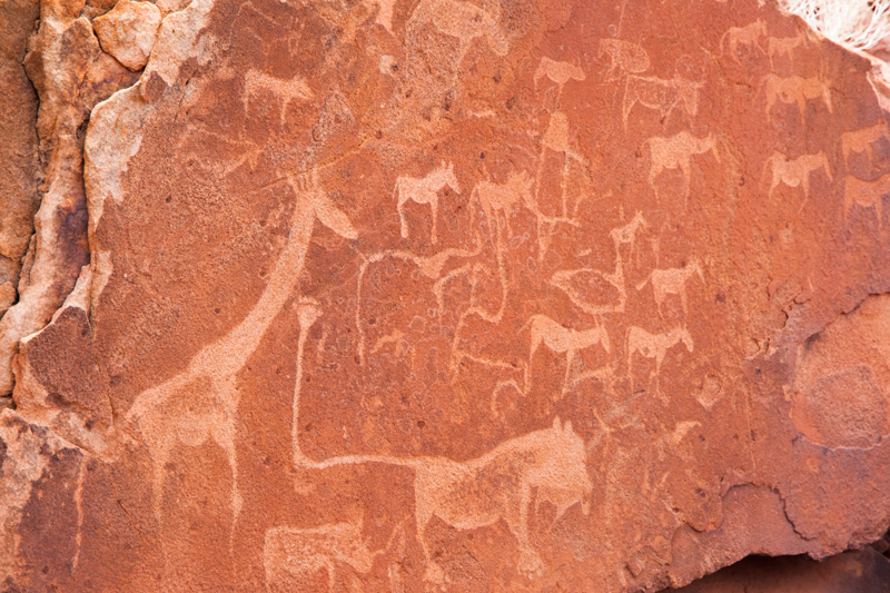 Lions, girafes.. Zoom sur une peinture rupestre gravée dans la roche