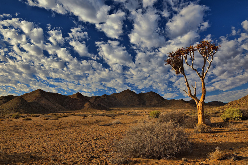 Vaste désert de montagne du parc national du Ai-Ais Richtersveld
