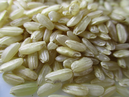 Zoom sur des grains de riz, l'ingrédient clé du Apfel-Rosinen Risotto
