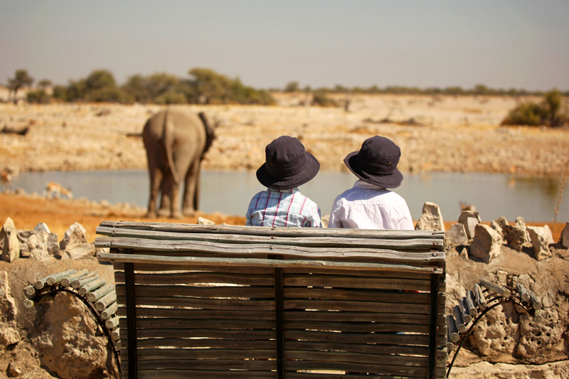 De dos, deux enfants assis sur un banc observent les animaux à Etosha