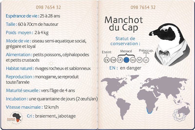 Big 5 des océans : passeport du manchot du Cap avec ses informations