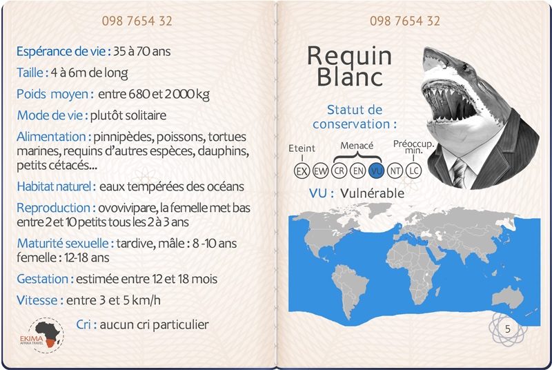 Image passeport du requin blanc comprenant ses informations d'identité