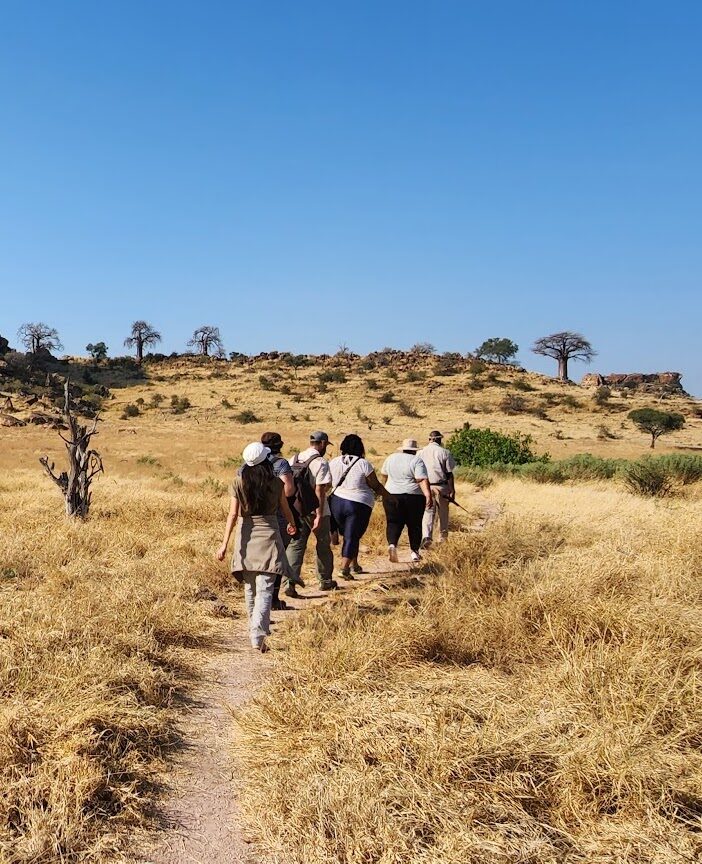 L'équipe d'Ekima en file indienne durant un safari à pied dans le bush
