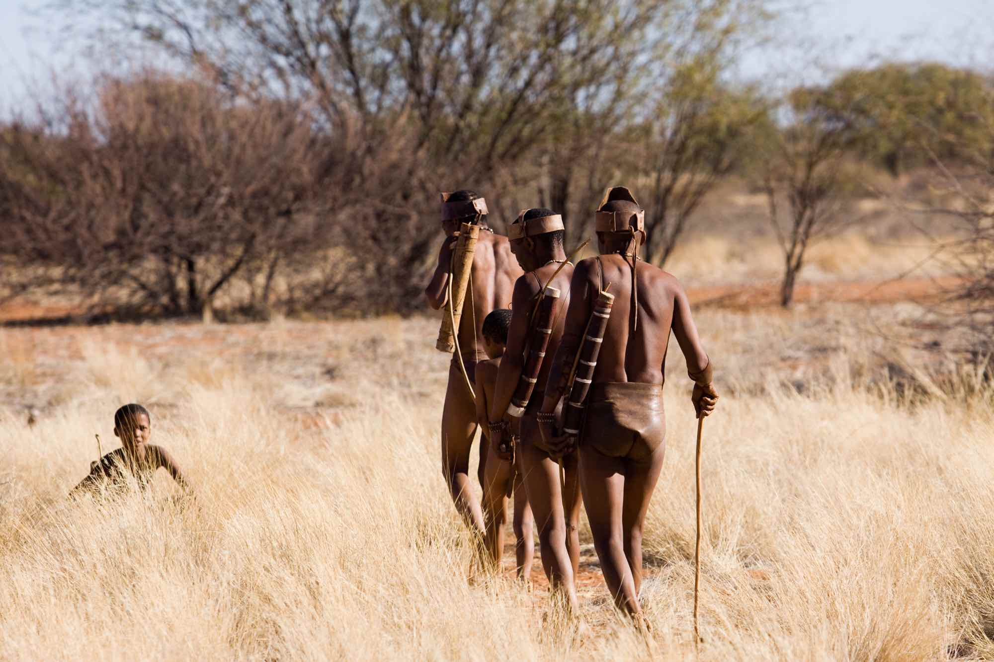 Groupe de san en marche dans les buissons secs du Kalahari