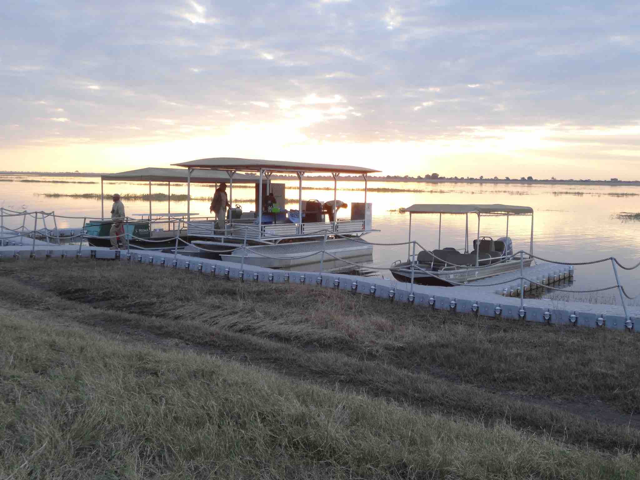 Flotte de bateau luxueux pour des croisières safari au petit matin 