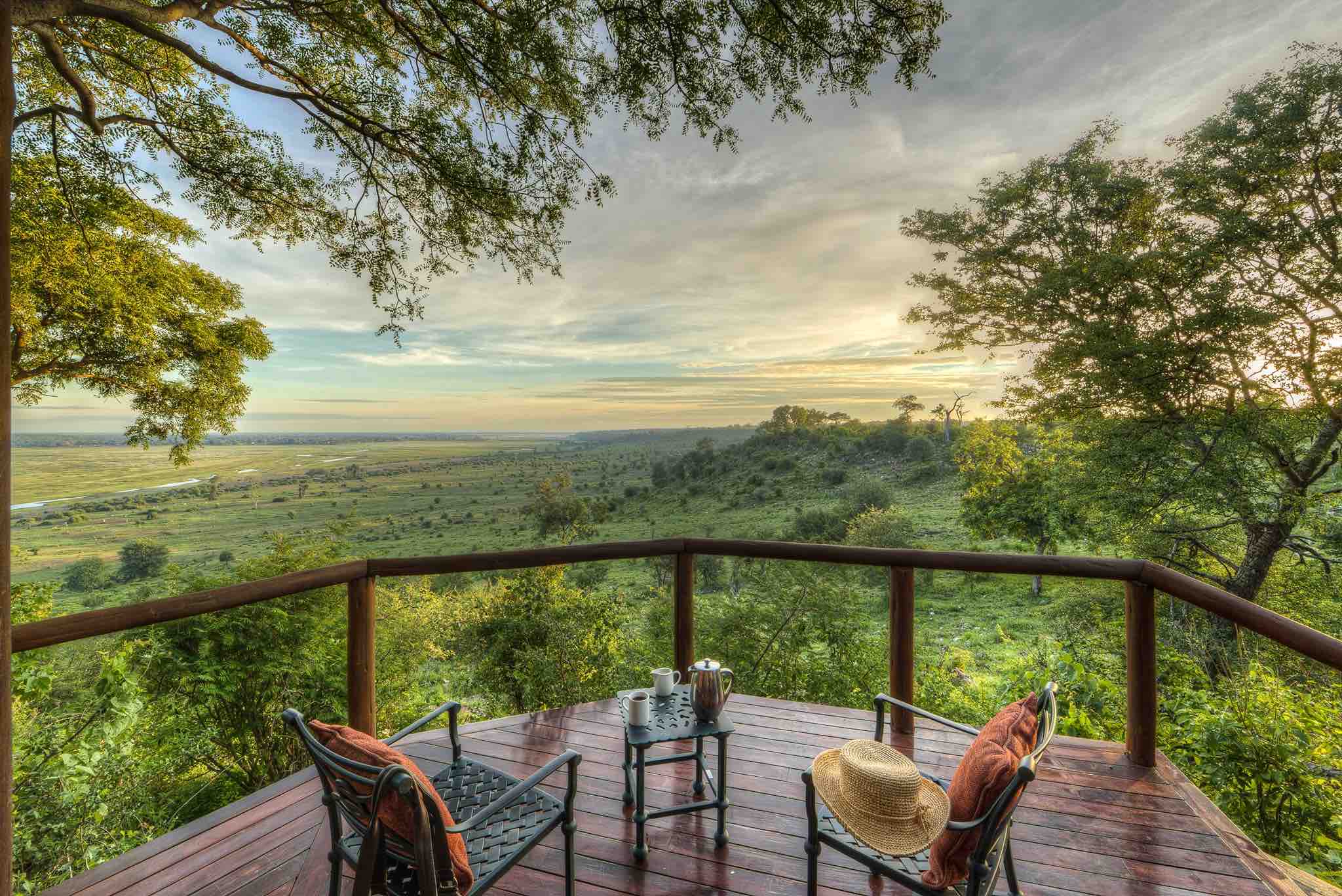 Vue sur la vegetation luxuriante depuis la terrasse en bois