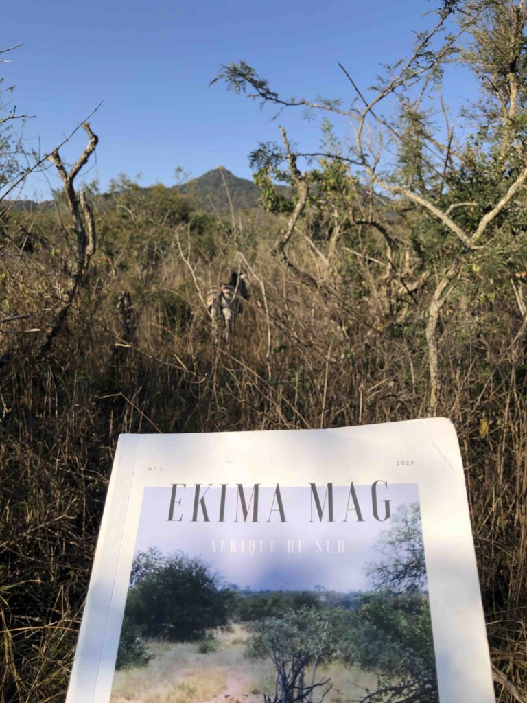 Le magazine est en brousse au premier plan avec derrière un zèbre