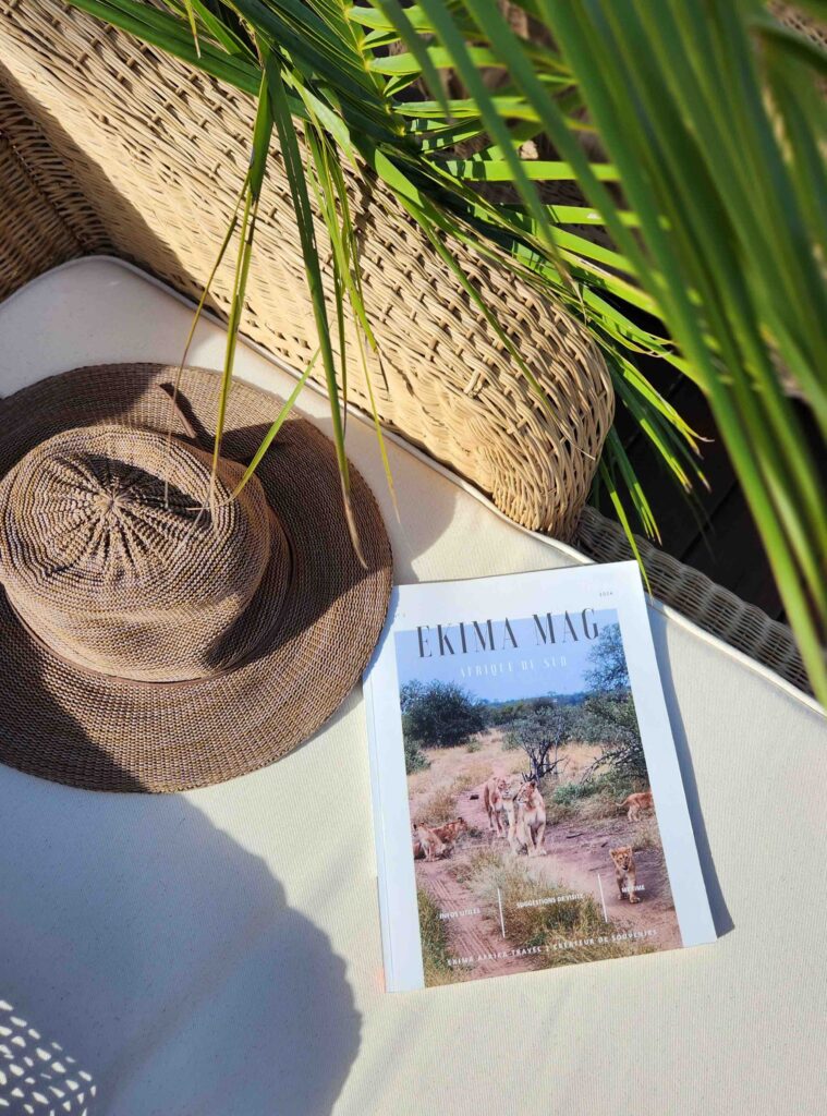 Magazine posé sur un transat avec l'ombre des feuilles du palmier